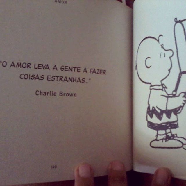 Charliebrownandsnoopy