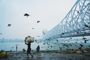 Bird flying over people at riverbank against sky during winter