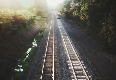 High angle view of railroad tracks amidst trees