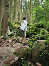 Rear view of man walking in forest