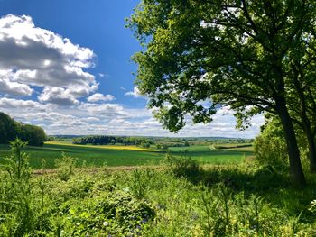 English rural scene, countryside in springtime. beautiful spring view