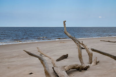 Driftwood on beach against sky