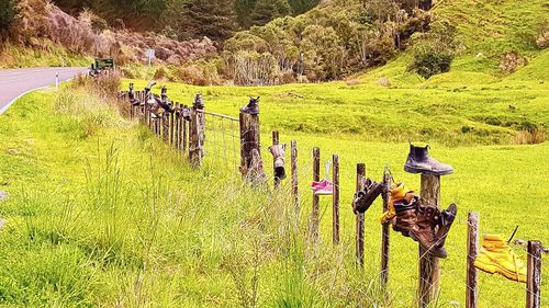 Fence in field