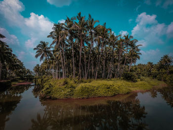 Reflection of trees in lake against sky