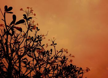 Low angle view of silhouette tree against orange sky