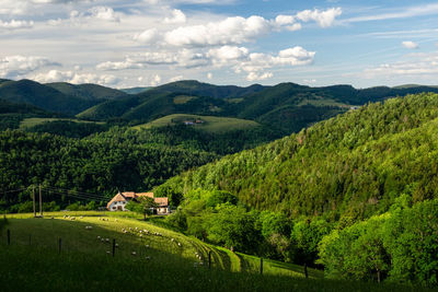 Golden hour farm in a valley - vosges, france - 2022