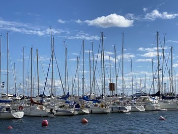 Sailboats moored in harbor