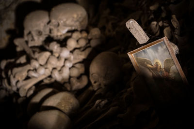 Close-up of human hand