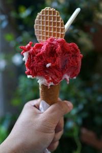 Close-up of hand holding ice cream