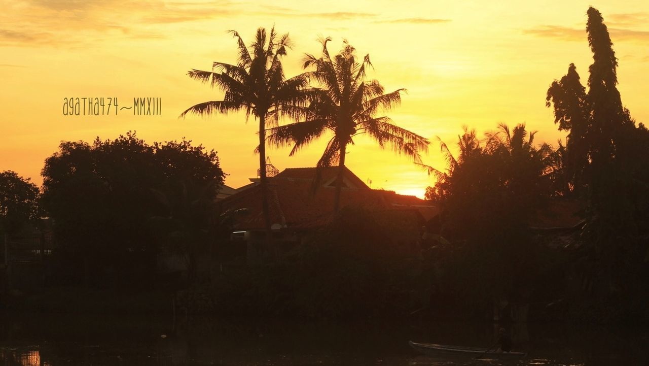 sunset, silhouette, tree, orange color, sky, palm tree, beauty in nature, tranquility, scenics, tranquil scene, nature, idyllic, cloud - sky, growth, dramatic sky, dusk, outdoors, outline, no people, tree trunk