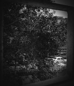 darkness