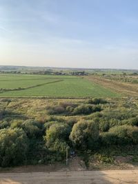 Scenic view of agricultural field against sky