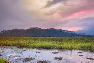 Countryside landscape with mountain range in background