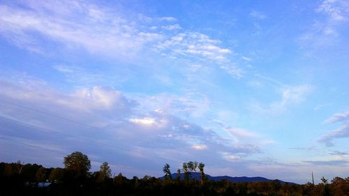 Low angle view of trees against blue sky