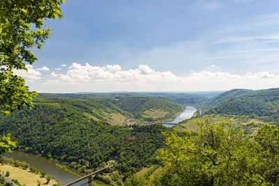 Beautiful, ripening vineyards in the spring season in western germany, the moselle river flowing.