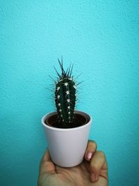 Close-up of person holding potted plant against wall