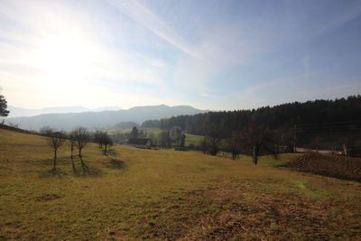 Scenic view of field against sky