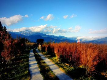 Pathway leading towards mountains against sky