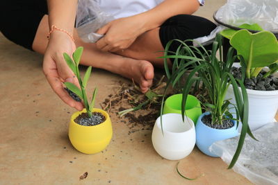 Midsection of woman holding potted plant on table