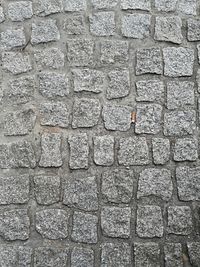 Full frame shot of lizard on brick wall