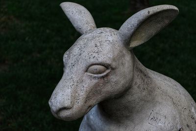 Close-up of animal statue