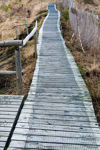 High angle view of boardwalk amidst trees