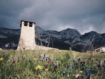 Landscape with mountain range in background