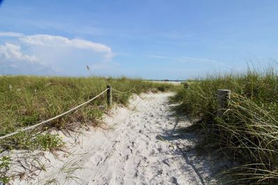 The sandy path to the ocean at siesta key beach.