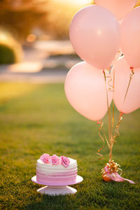 Creamy pink cake decorated roses on tray with balloons on green grass lawn over sunny background