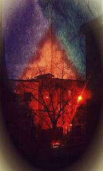 Bare trees against sky