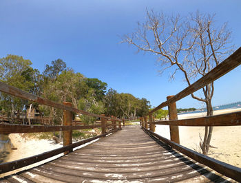 Narrow footbridge along trees and plants against sky