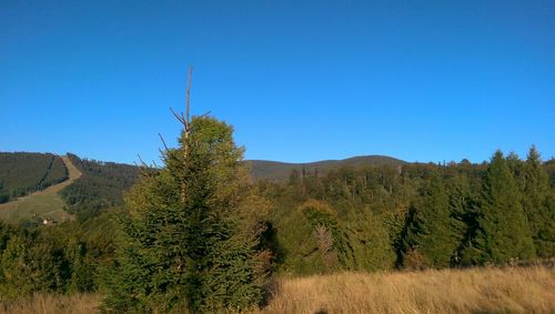 Scenic view of landscape against clear blue sky