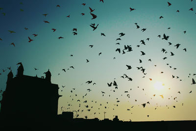 Low angle view of silhouette birds flying against clear sky