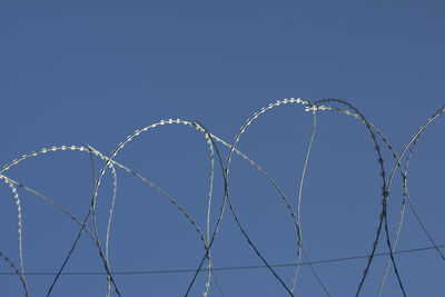 Barbed wire rings on fence. protected area. steel wire protection.