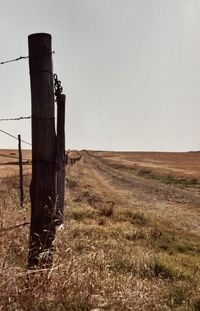 Man in field