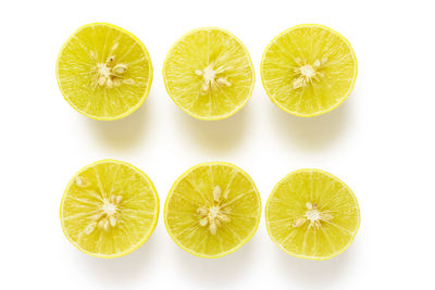 Close-up of oranges against white background