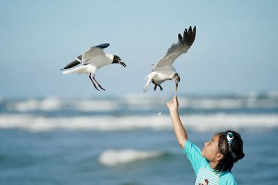 Seagulls flying over sea against sky