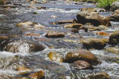 River flowing through rocks