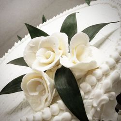 Close-up of white flowers