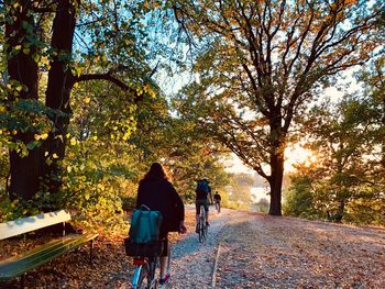 Rear view of people riding bicycles amidst trees during autumn