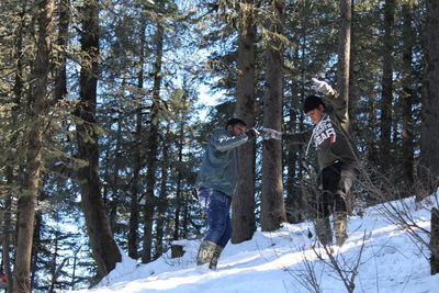 Panoramic shot of trees in forest during winter