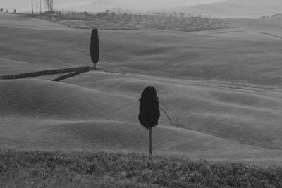 Scenic view of agricultural field