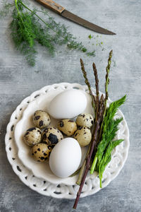 High angle view of plants in container on table