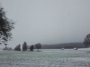 Trees on field against clear sky during winter