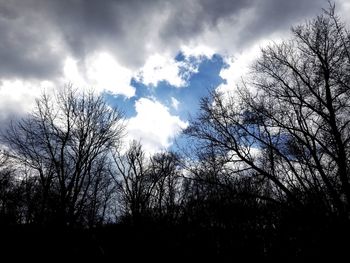 Low angle view of silhouette bare trees against sky