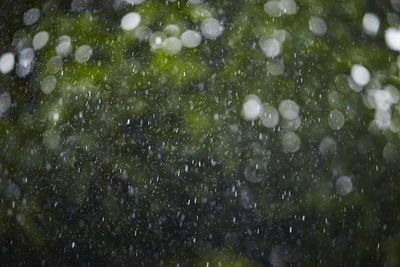 Full frame shot of raindrops on wet windshield