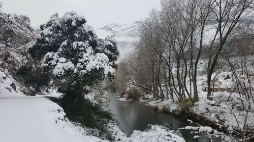 Scenic view of river amidst trees during winter