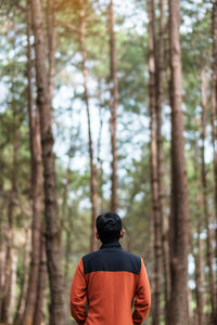 Rear view of man standing by trees in forest