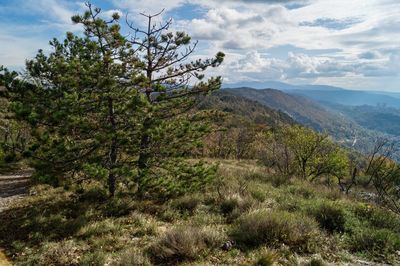 Scenic view of mountains against sky