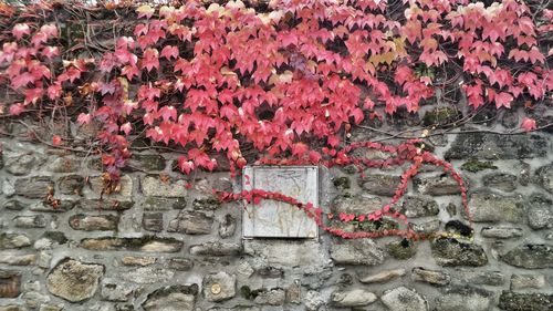 Full frame shot of graffiti on brick wall